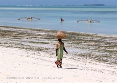 Beach walk, Zanzibar, DSC05940b